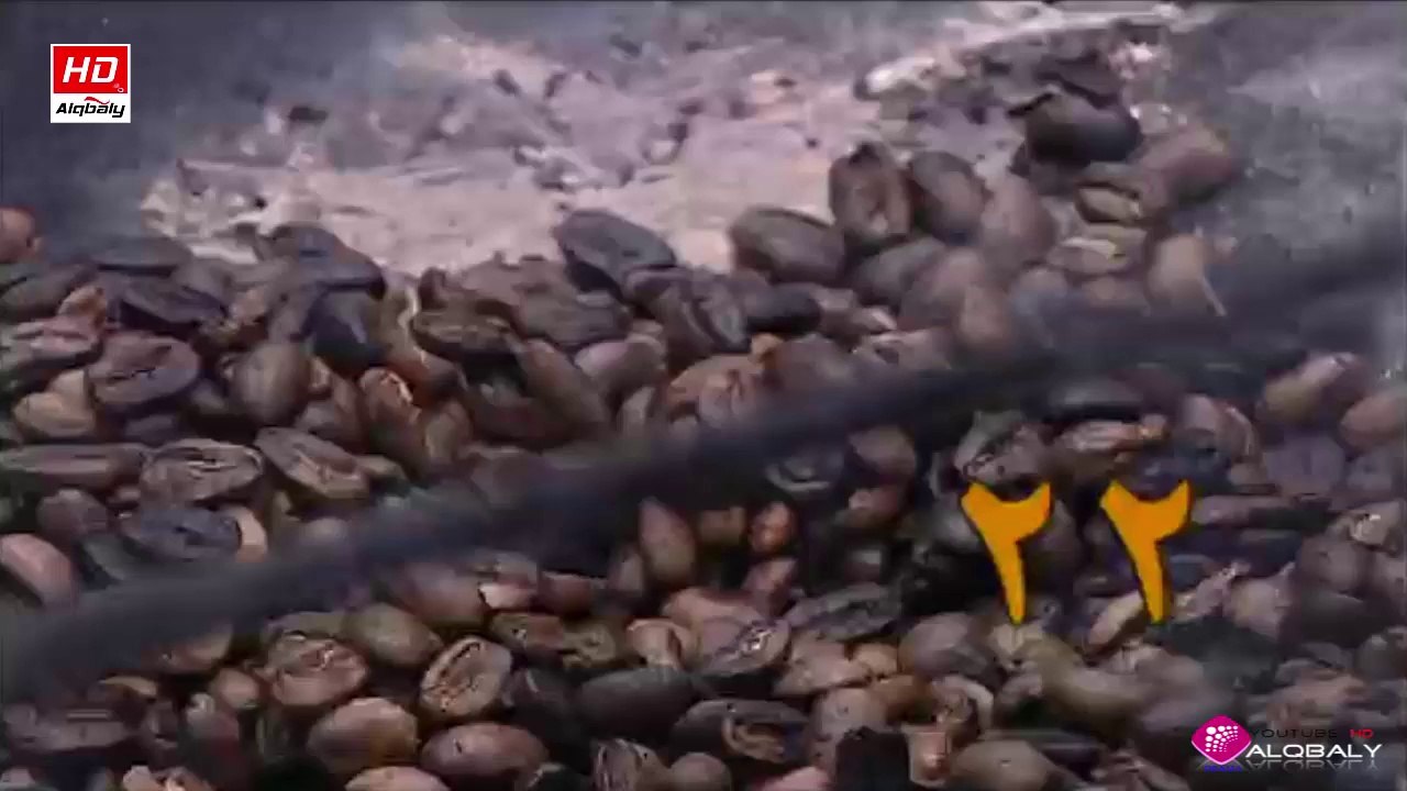 مسلسل اخر الفرسان الحلقة 22 والاخيرة جودة عالية