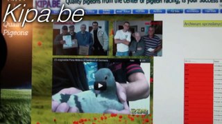 NEWS auction ends congratulation www.kipa.be TEAM (racing pigeons)
