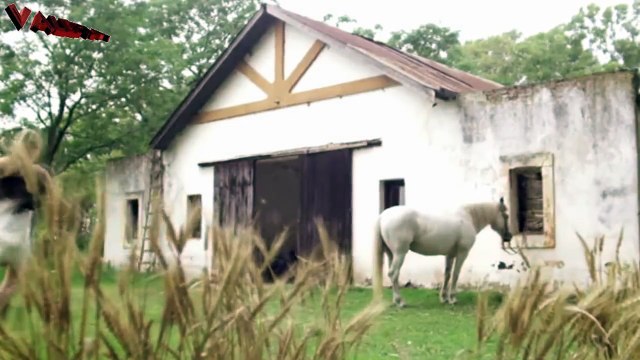 Ed Motta - Vamos Dançar - Com Letra - Trilha Sonora da Novela Império - Tema de Robertão