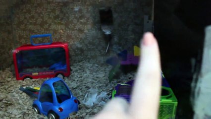 I don't know what to name this! | Vlogs