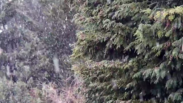 Frédéric Chopin - Prélude in B flat Major Op. 28 No 21