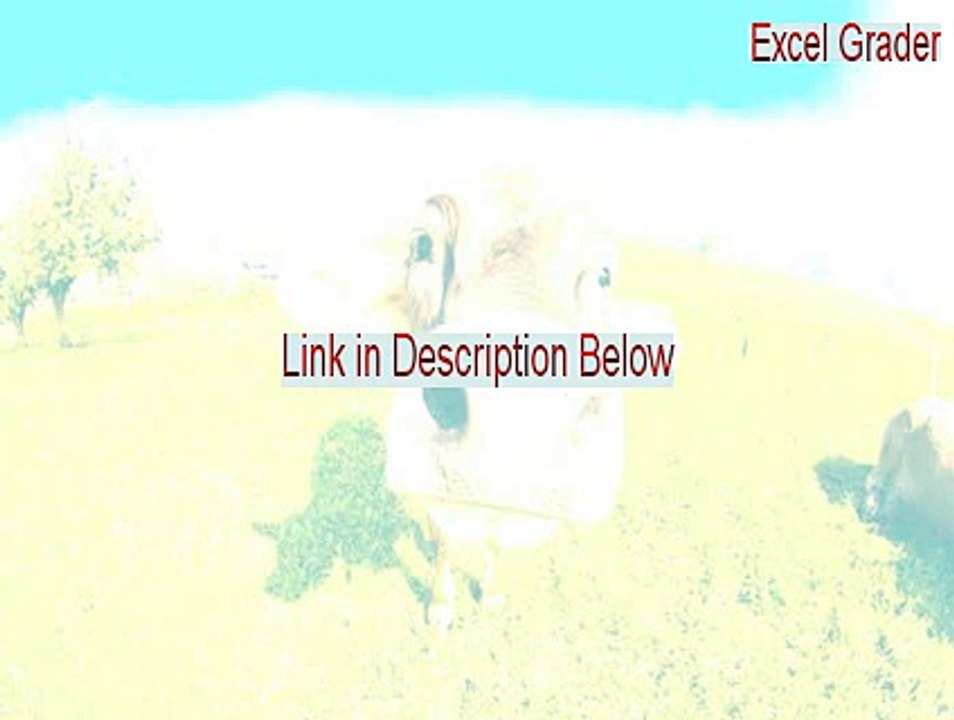 Excel Grader Serial [excel grader project 10 2015]