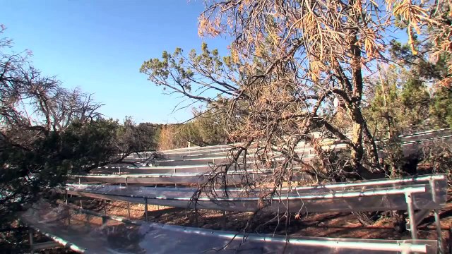 Global warming accelerates drought-induced forest death