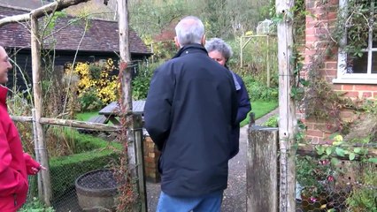 Death-defying Buzzard goes back to the wild!