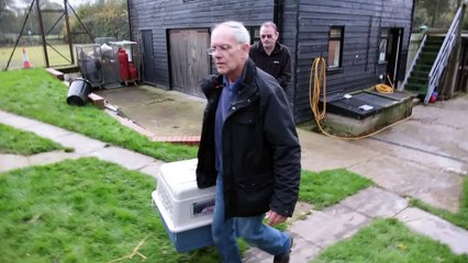 Canada Goose with shattered wing flies again!