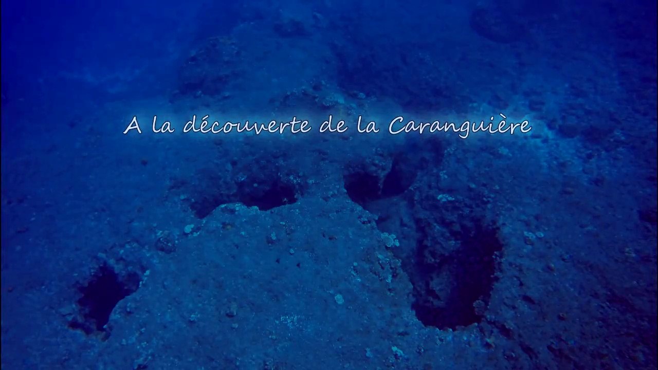 Plongée découverte de "La Caranguière"
