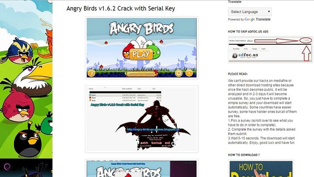 Angry Birds v1.6.2 Crack with Serial Key