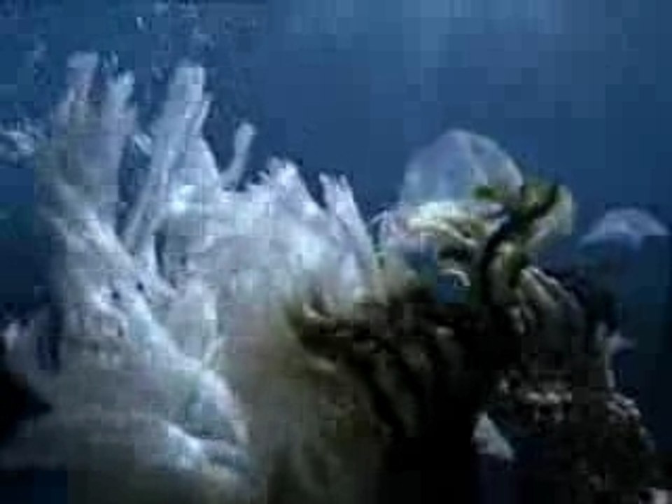 Pub - Ariston aqualis