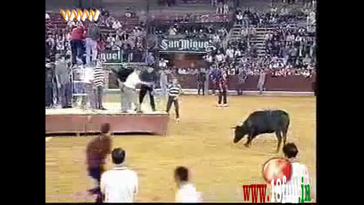 Grate Fight With Bulk Funny Video