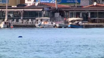 Kızı Olana Pozitif Ayrımcılık