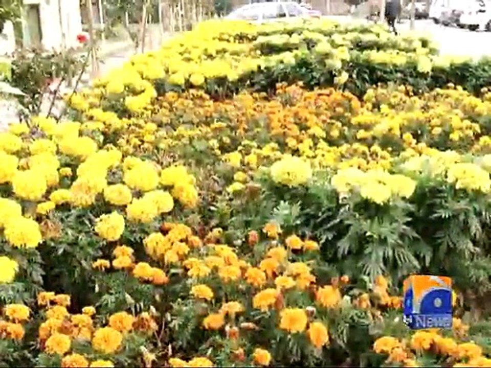 Lahore Spring Season-22 Feb 2015