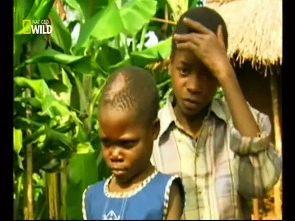 PREDADORES LETAIS PART4