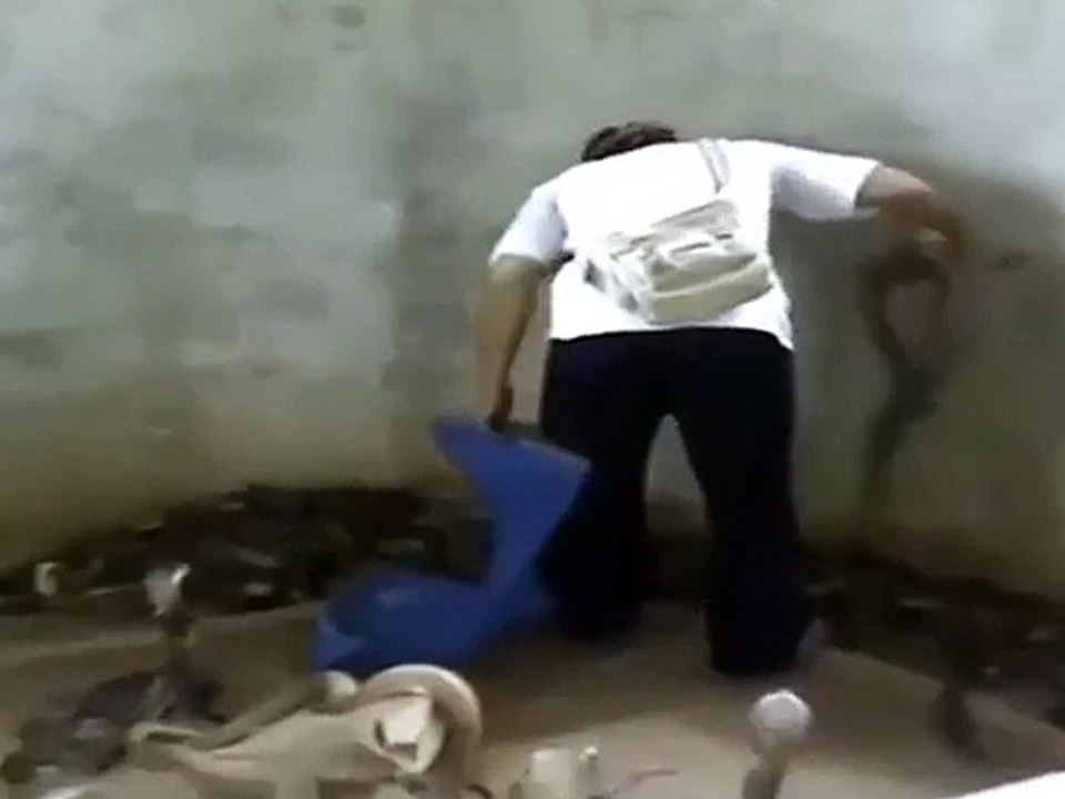 WTF