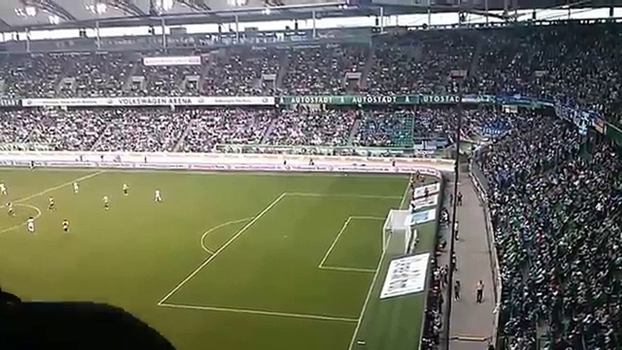 VfL Wolfsburg  Hertha BSC Berlin  Volkswagen Arena  22 02 2015