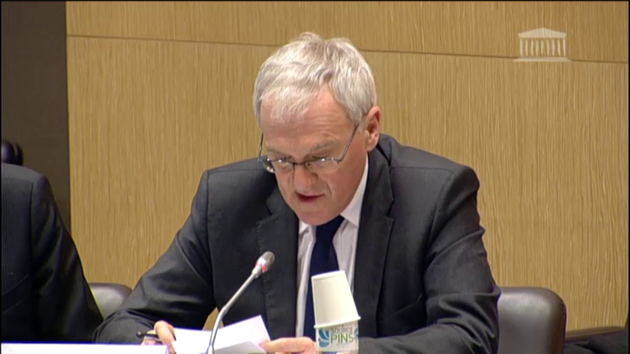 Jean-Bernard Lévy (EDF) à l'Assemblée nationale