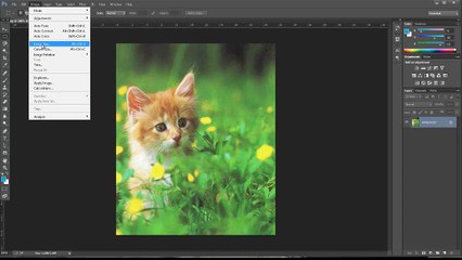 تغيير حجم او ابعاد الصور بالفوتوشوب