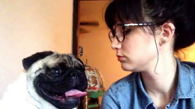 This dog hates kisses because owner stinks!