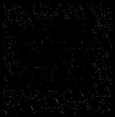 Karolina [Dobra Jakość]