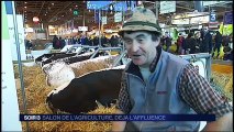 Au Salon de l'Agriculture, rencontre entre les citadins et les ruraux