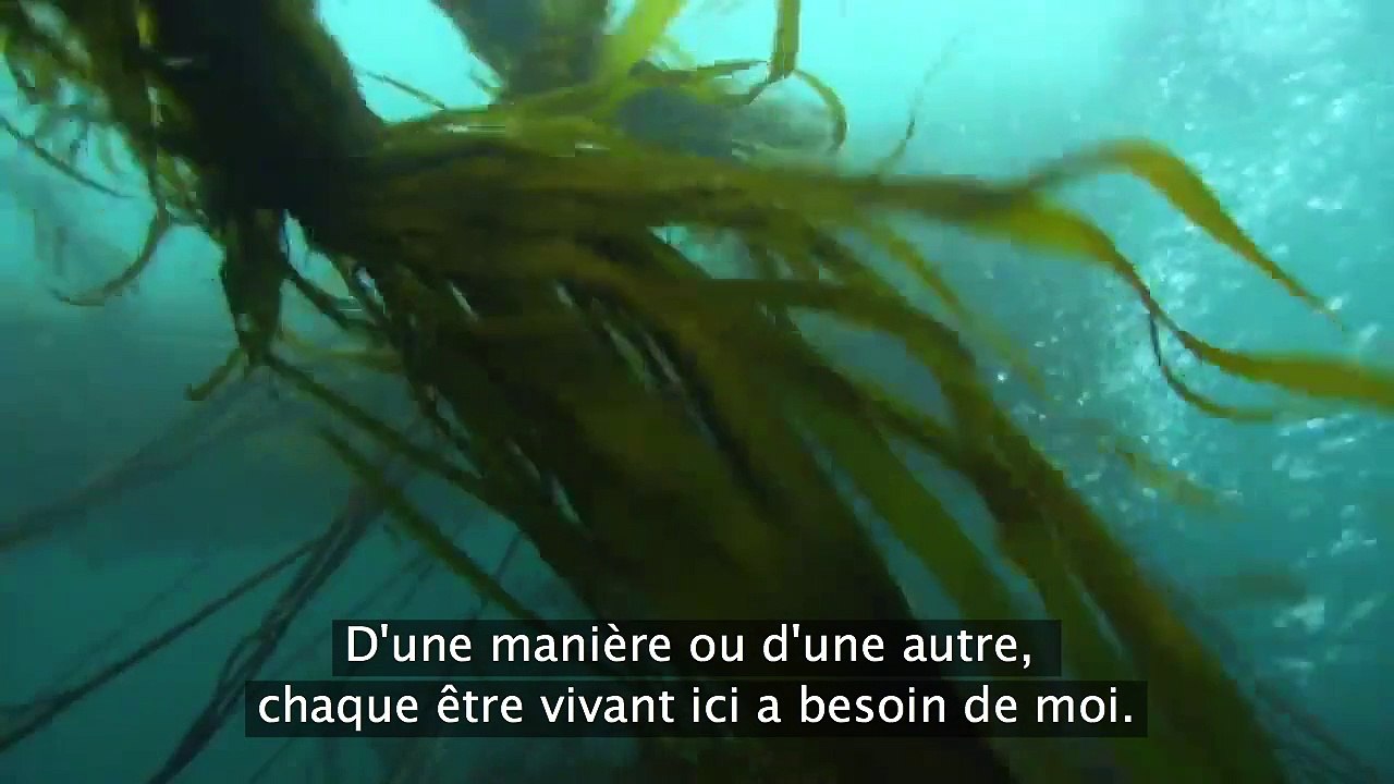 L'Océan parle grâce à Harrison Ford