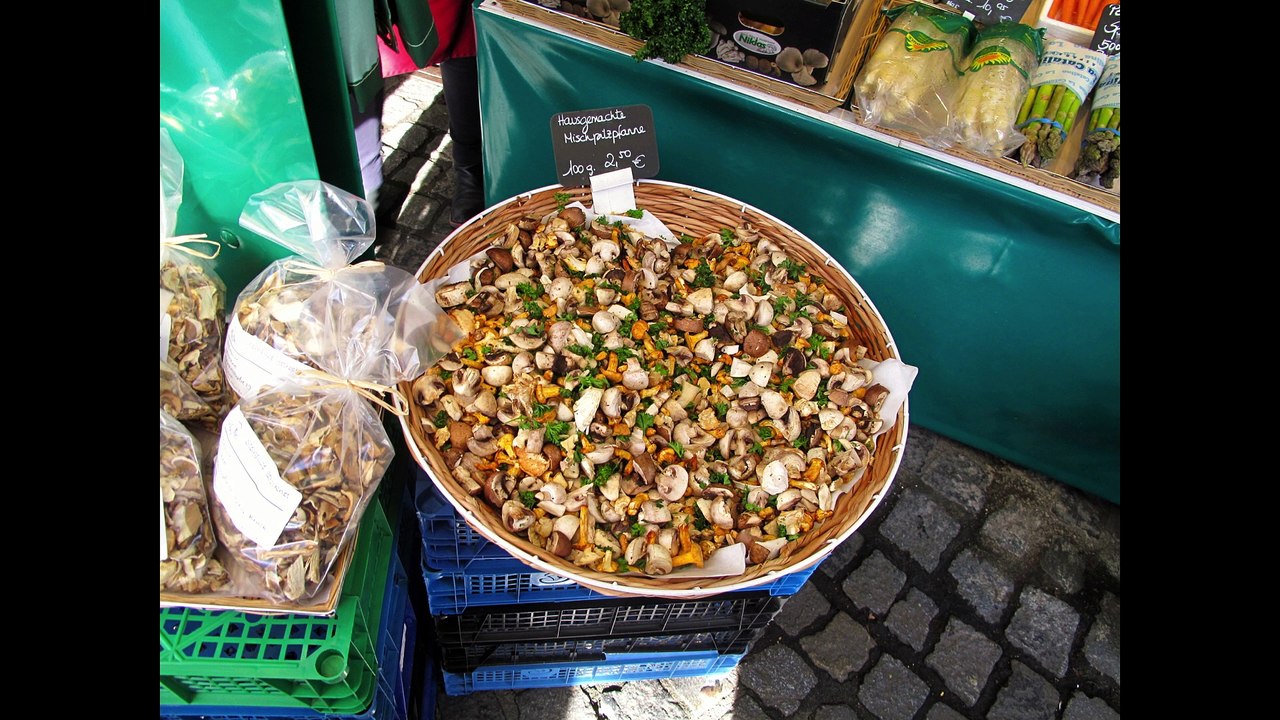 Munich