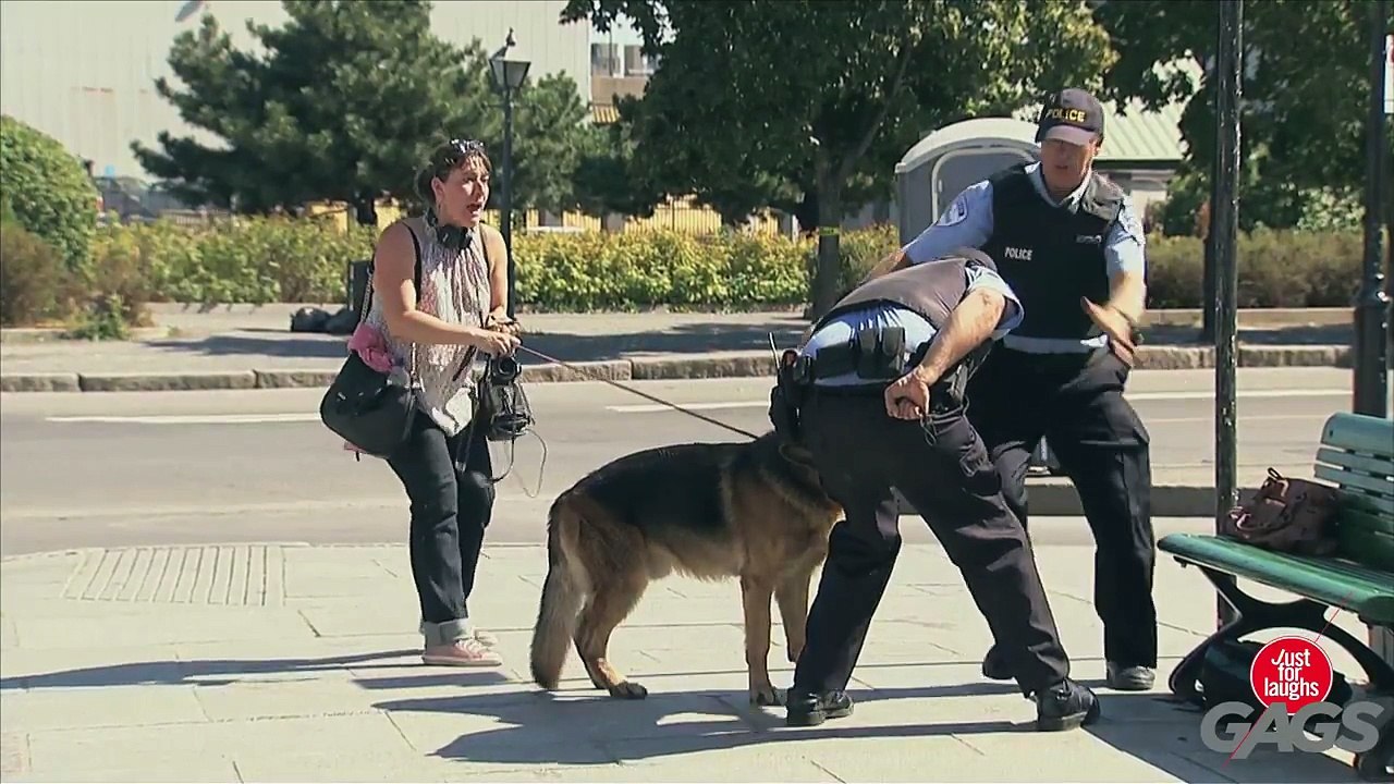 Rabid Dog Mauls Cops Crotch