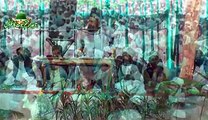 Hazrat Allama Abdul Hameed Chishti Sab AT Khatme Nabowat Conference  Part 2AT Baroo Shareef Chowk Azam Layyah By Saaji Malik