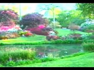 Allah(Dios) es conocido por la razón