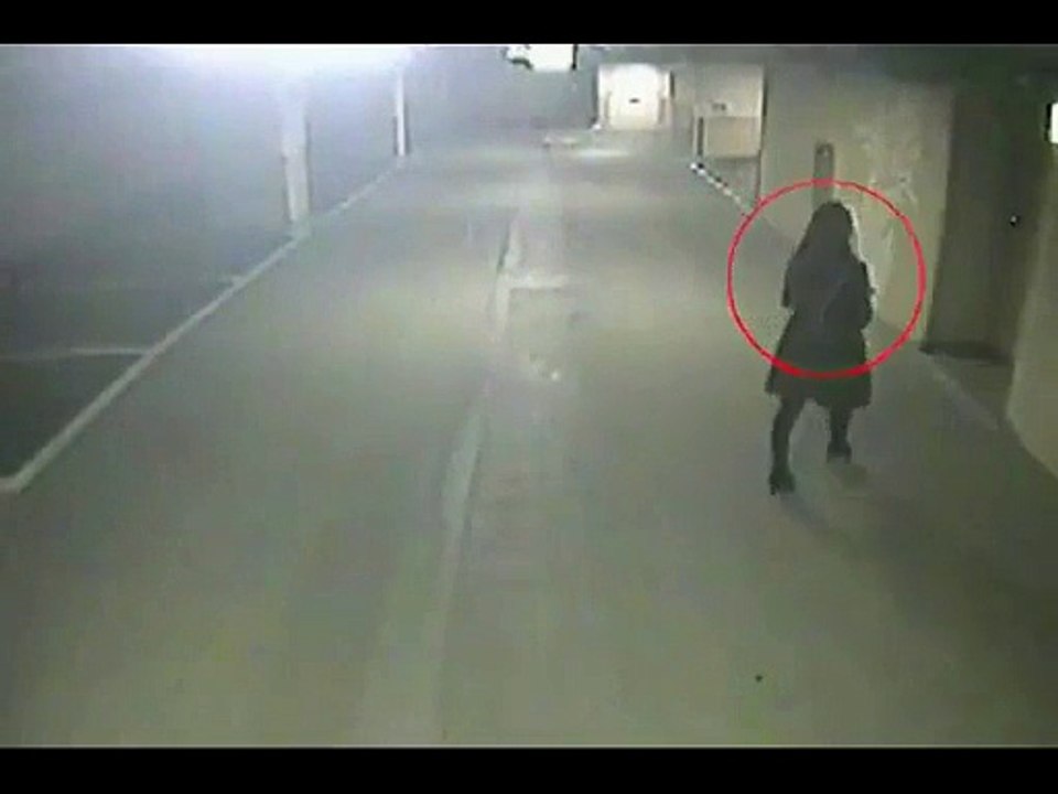 Incredible Shocking Surprise, You have never seen something like this before!!