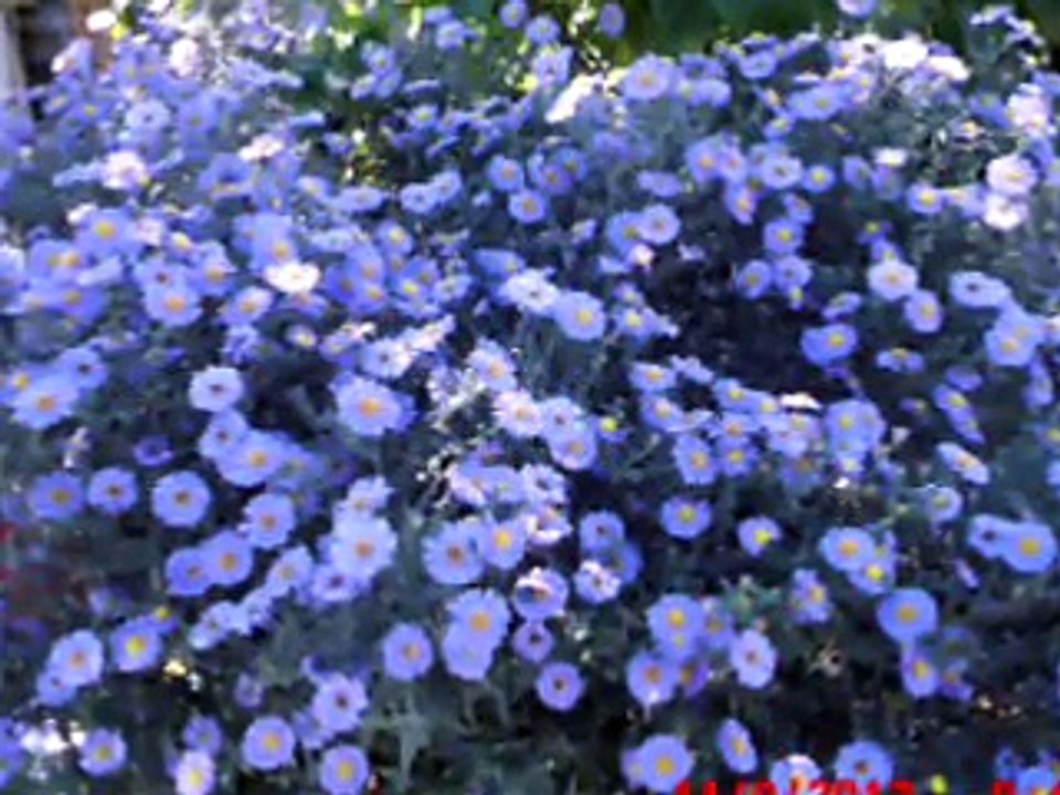 Nedim varol, Tufanbeyli,Adana  (DR. ve   Asker.2012 )