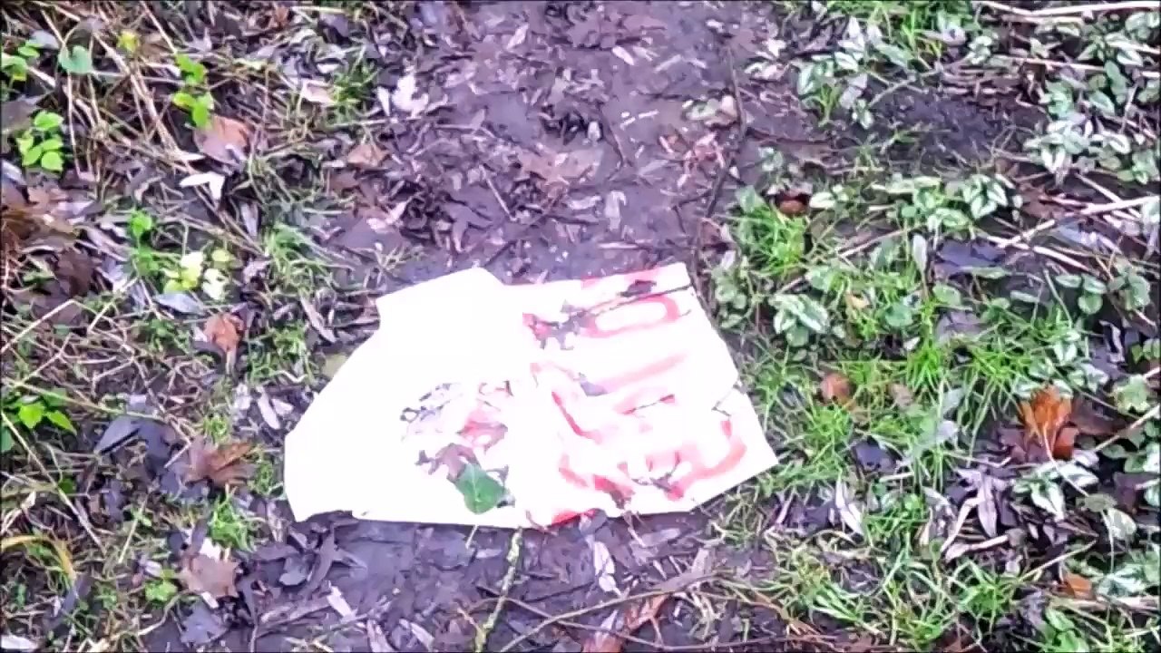 Timelapse/Zeitraffer - Pinneberg Sturm Januar 2015 03 /Full Film/Ganzer Film/Complete Movie