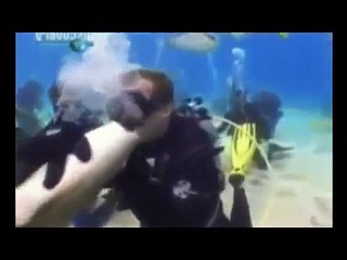 PREHISTORIC MEGALODON SHARK CAUGHT ON CAMERA 2015!? (REAL PROOF/EVIDENCE)