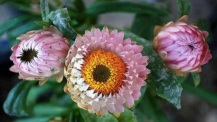 La nature   photos diverses