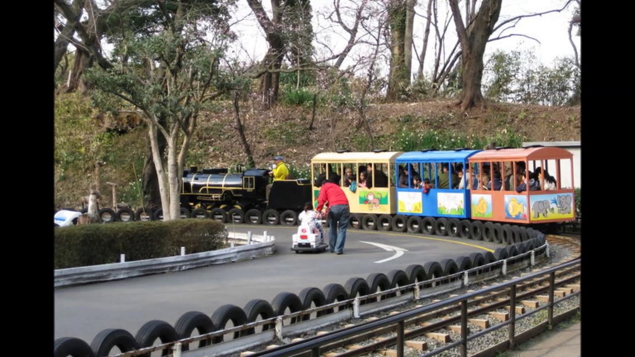 村崎一徳 小田原城に行ってきた！