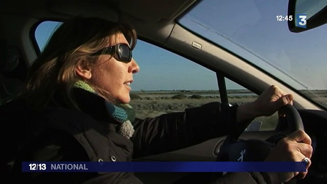 Camargue : la période des amours a commencé pour les flamands roses