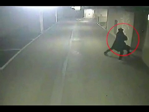 Incredible Shocking Surprise, You've never seen something like this before!!