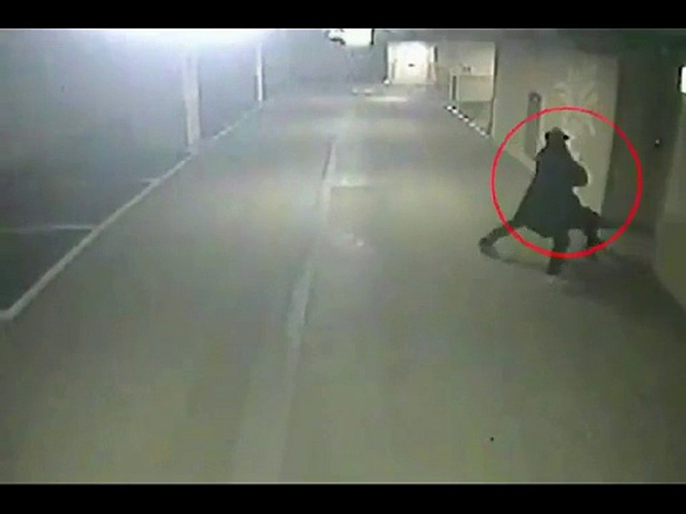 Incredible Shocking Surprise, You've never seen something like this before!!