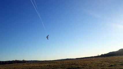 Cerf-volant de Vitesse X-CELERATOR