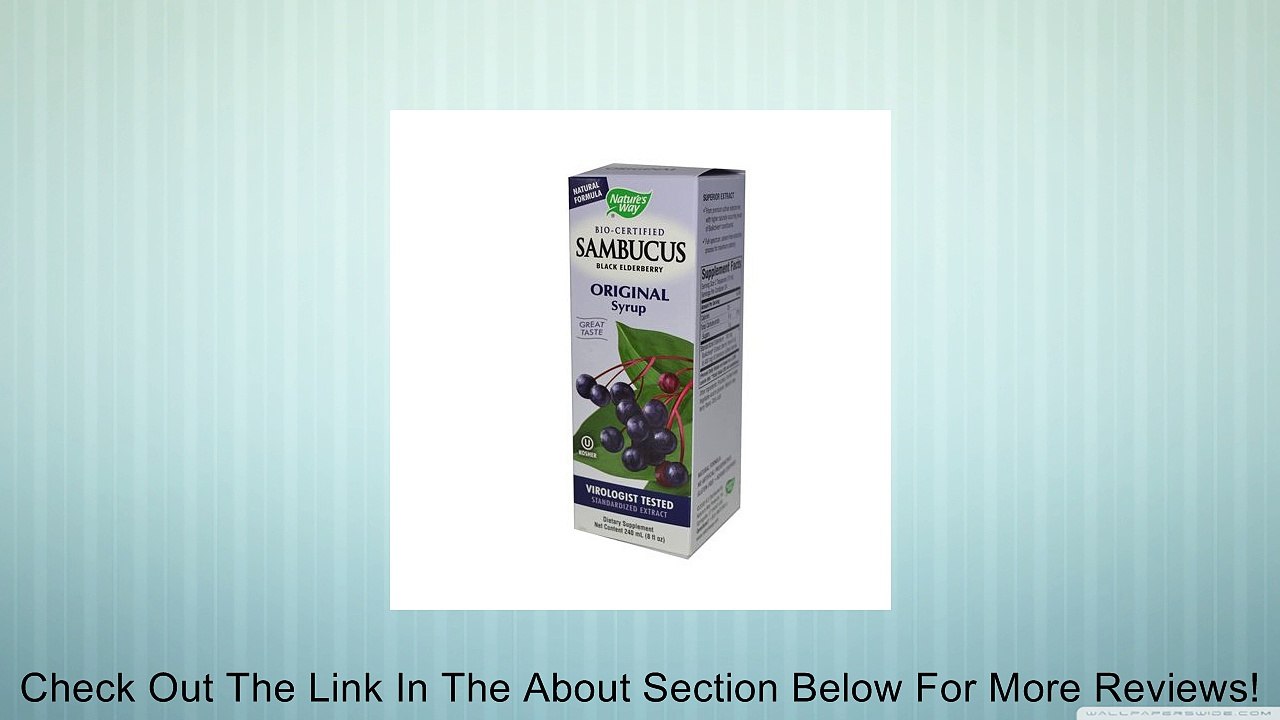 Bulk Save Nature's Way Sambucus Original Syrup 1 to 4 packs each 8.0 Oz Review