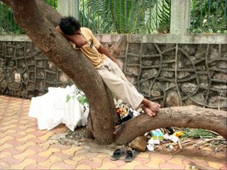 أنا مالى ما كنت فى حالى - عبده السروجى