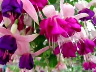 Nedim varol, Tufanbeyli,Adana . (NE DERSİN.2013.)