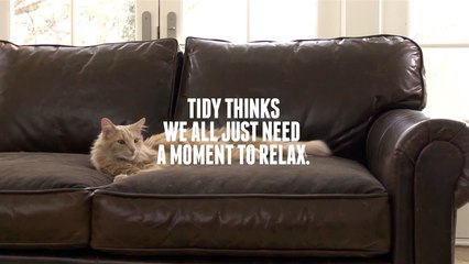 Half Time and a Half #CatsWin