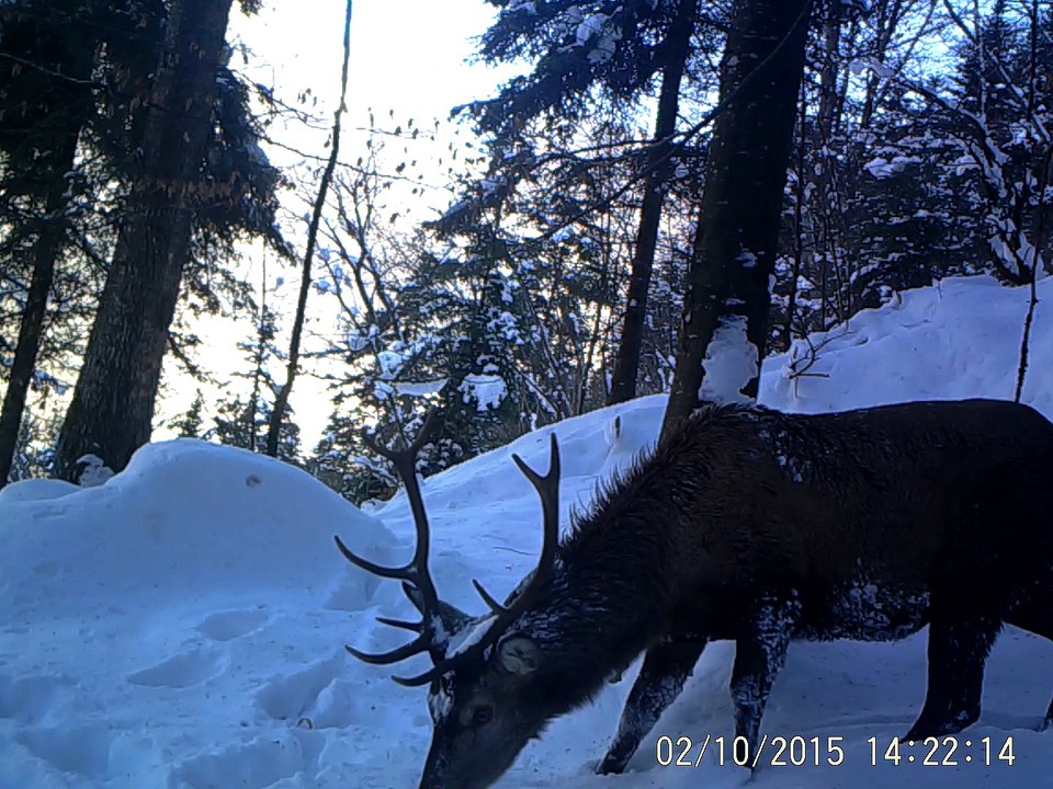 2015_cerf_10