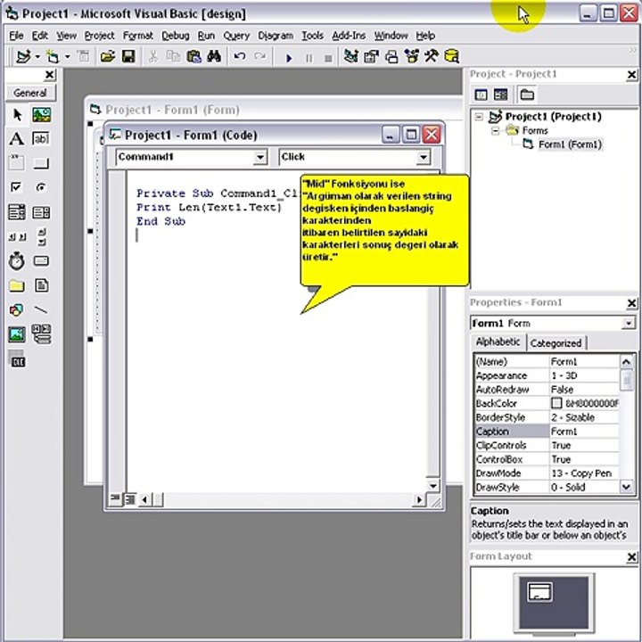 Visual Basic Len & Mid