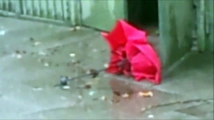 Timelapse  Zeitraffer - Pinneberg Sturm Januar 2015 01 /Full Film/Complete Movie/Ganzer Film