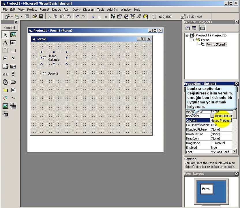 Visual Basic OptionButton & Select Case Example