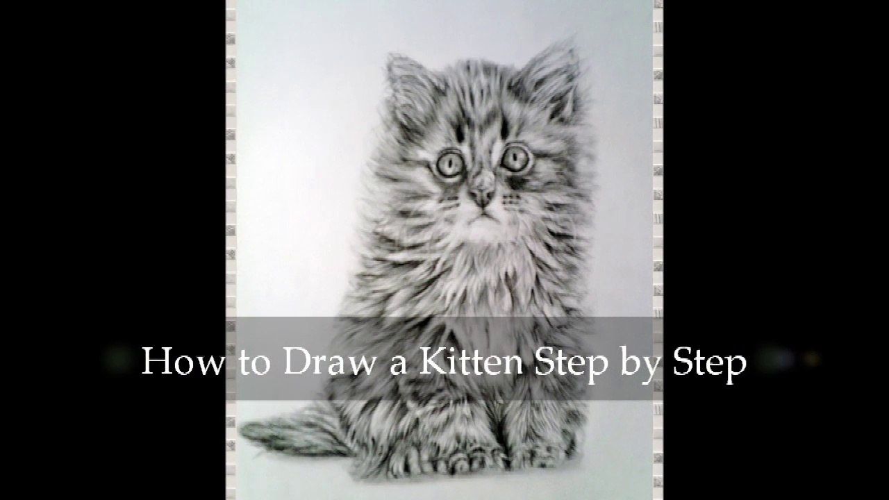 Learn How to Draw a Kitten Step by Step part four