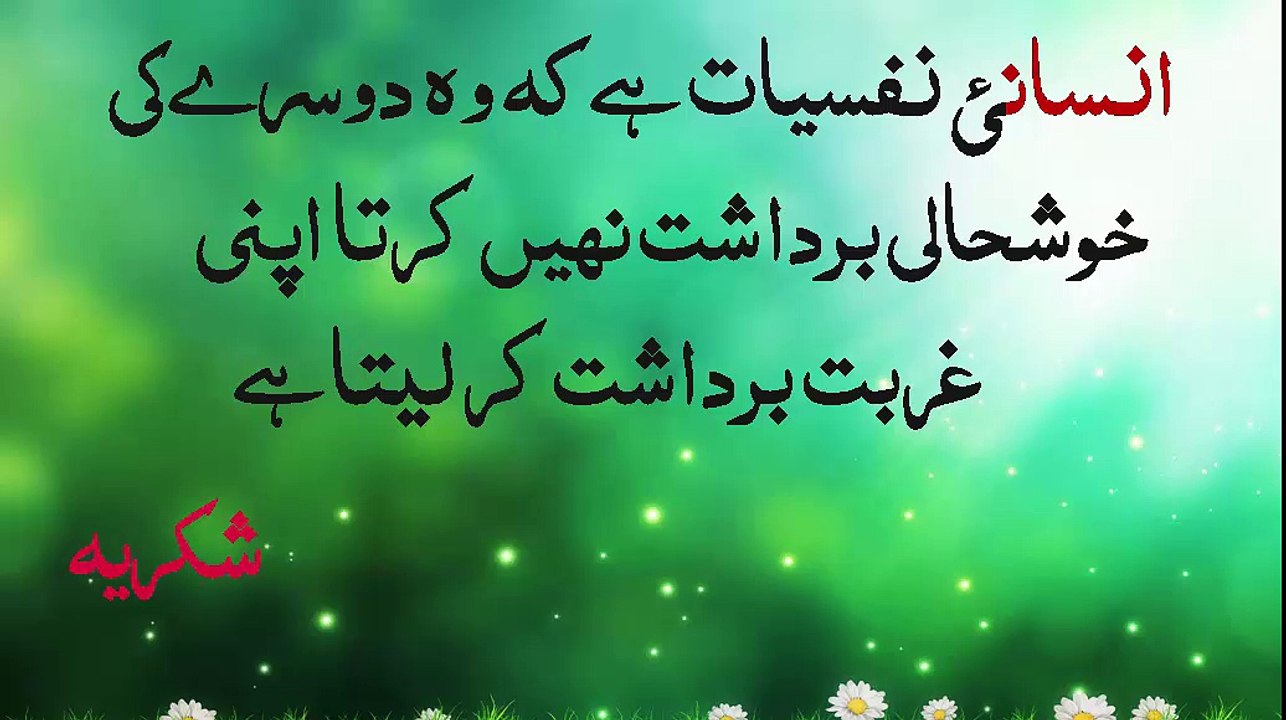 Achi Bat