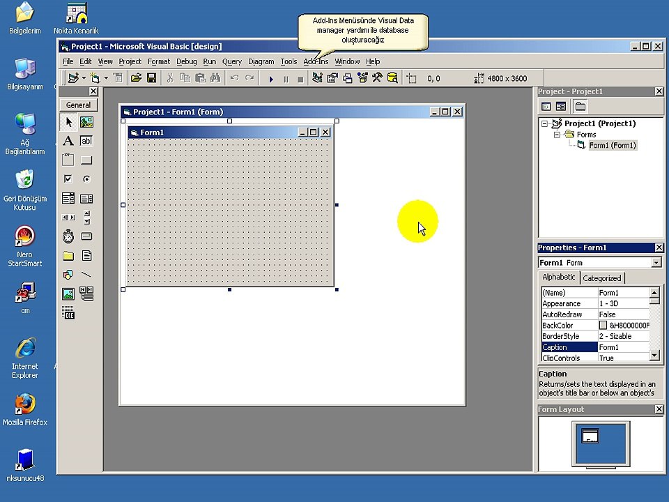 Visual Basic Database Example