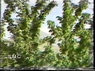 Very beautiful music pashto  patriotic music